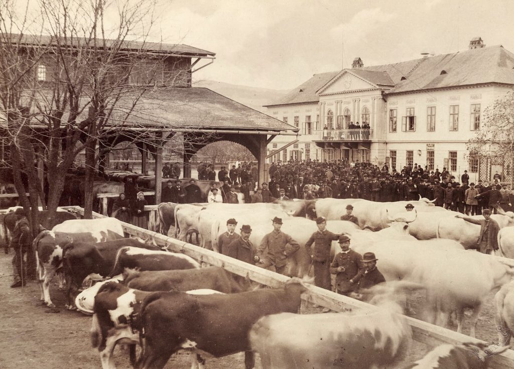 Bratislavský dobytčí trh (Viehmarkt) na území terajšieho Trnavského mýta. Fotku vytvoril 13. apríla 1885 známy fotografický ateliér Kozics. (Ateliér Kozics, MMB).